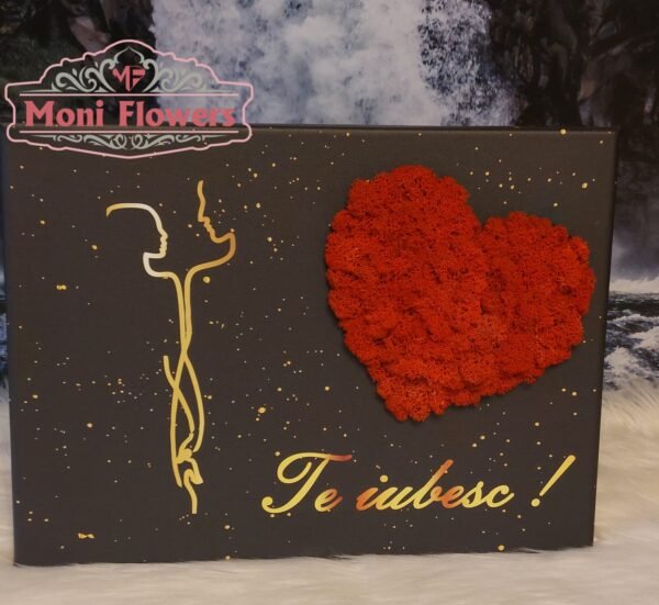 tablou canvas/licheni (copy)